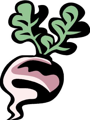 304x408 Turnip Greens Nutrition Facts Health Benefits Nutritional Value