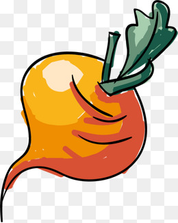 260x325 Turnips Png Images Vectors And Psd Files Free Download On Pngtree