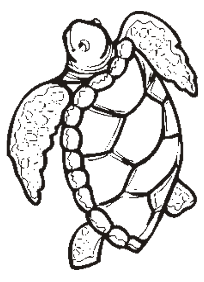 650x900 Coloring Book Turtle Many Interesting Cliparts