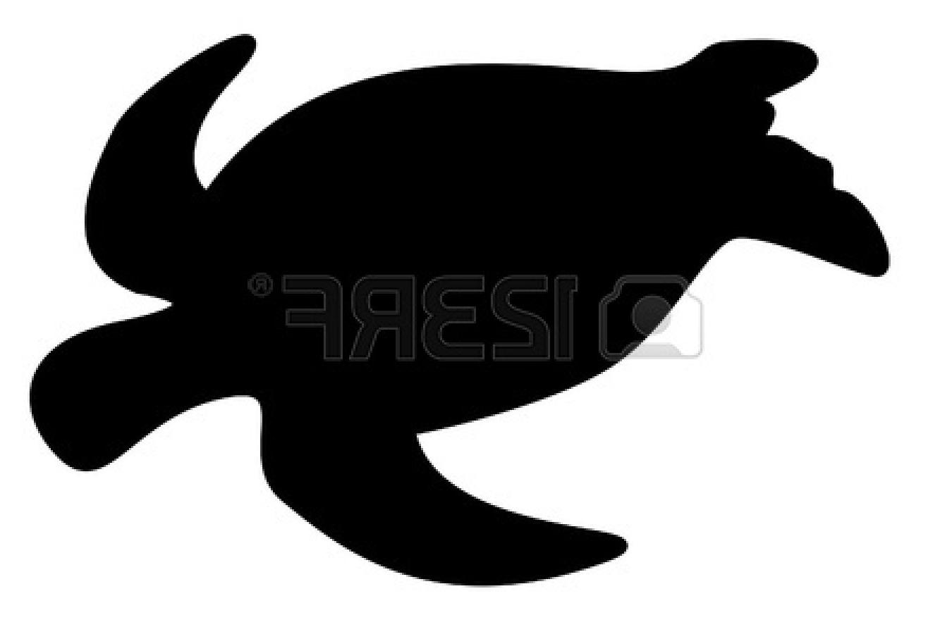 1350x900 Top Sea Turtle Silhouette On White Background Pictures