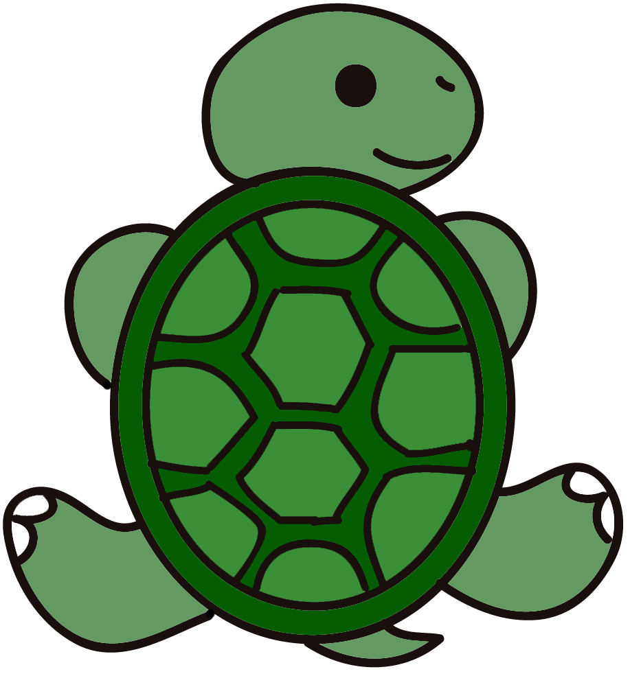 917x985 Cartoon Picture Of Turtle