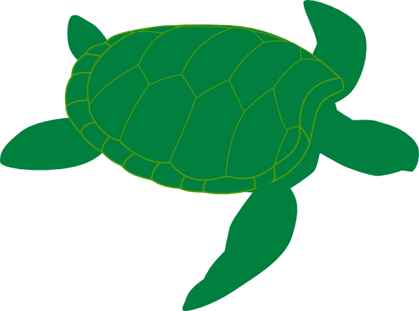 600x445 Marine Turtle Clip Art