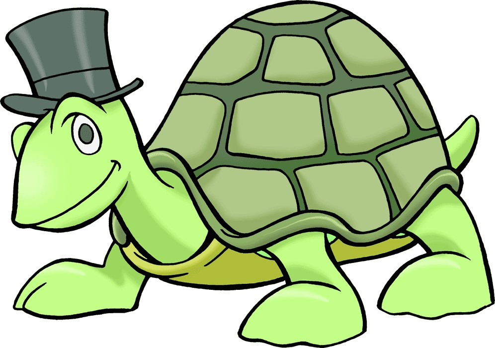 996x700 Sea Turtle Clip Art Free Clipart Images 3