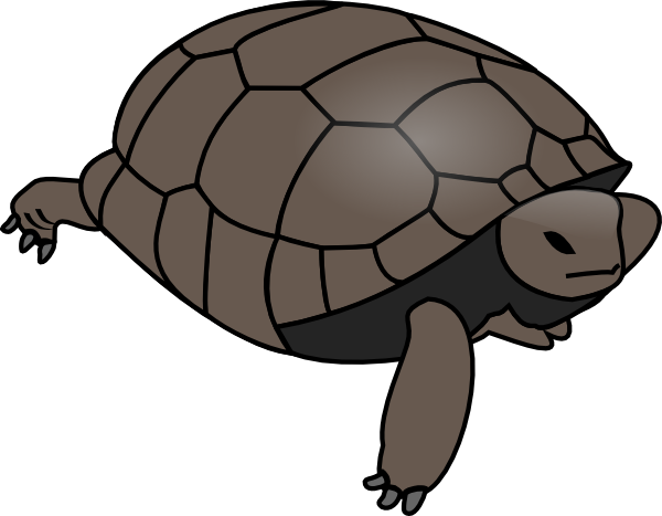 600x467 Turtle Clip Art Free Vector 4vector