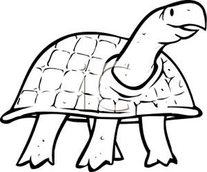 300x250 Best Turtle Clipart Black And White