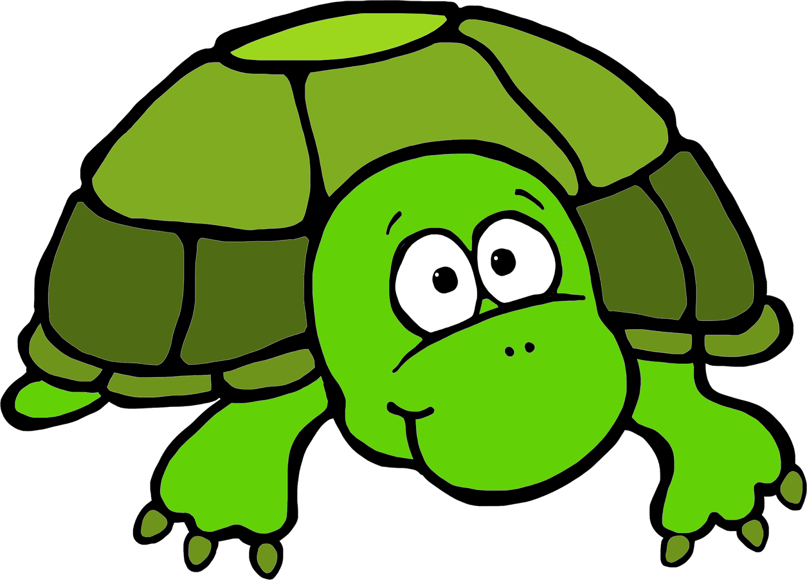 1600x1149 Turtle Clip Art Clipart 5 7 Free Images