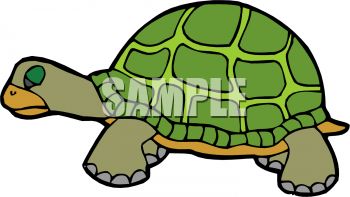 350x197 Picture Of A Turtle Standing In A Vector Clip Art Illustration