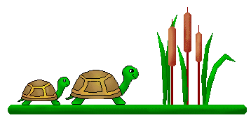 358x172 Top 77 Turtles Clip Art