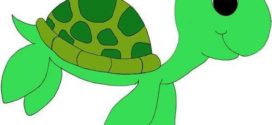 272x125 Top 83 Turtle Clipart