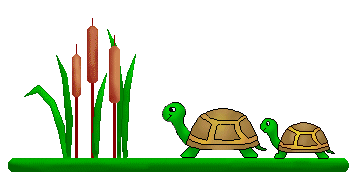 353x179 Turtle Clip Art