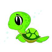 170x170 Baby Turtle Clipart