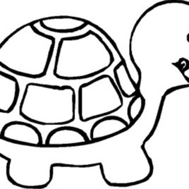 268x268 Free Printable Turtle Coloring Pages For Kids Coloring Pages