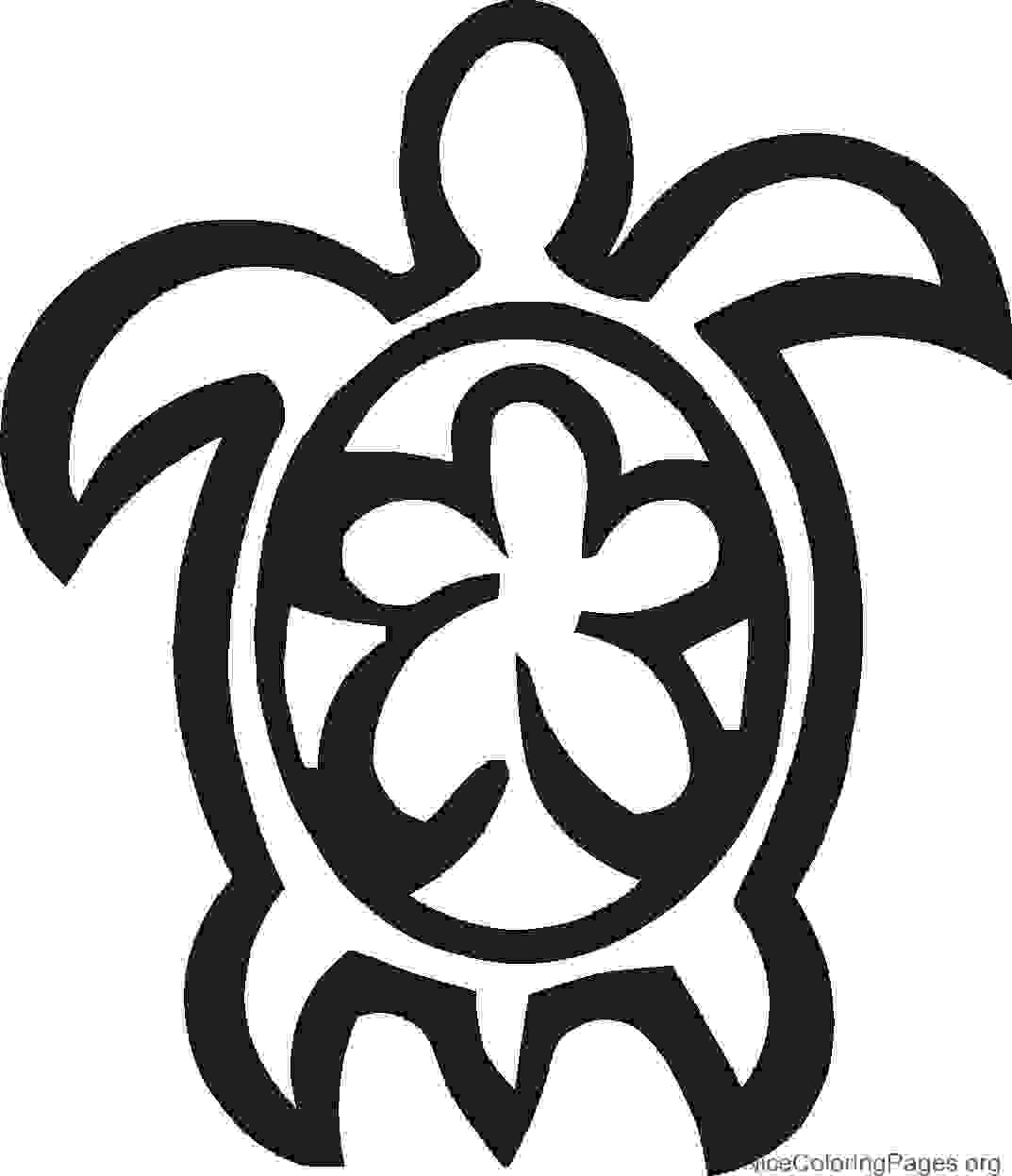 1073x1247 How To Draw Turtle Step By Step And Coloring Sheets