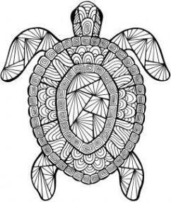 242x285 417 Best Art Coloring Pages Amp Designs Images