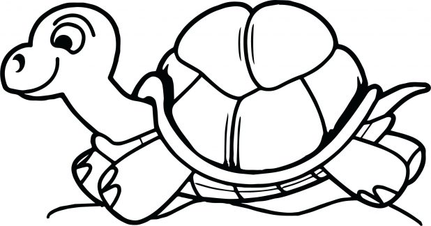 Turtle Coloring Pages | Free download on ClipArtMag