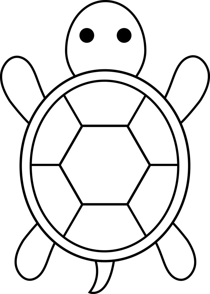 736x1027 Stunning Turtle Coloring Pages 22 For Your Gallery Coloring Ideas