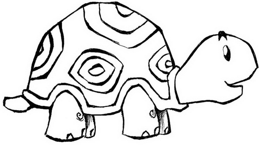 1048x587 Animal Turtle Coloring Pages Animals