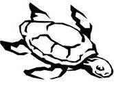 166x125 Turtles Coloring Pages