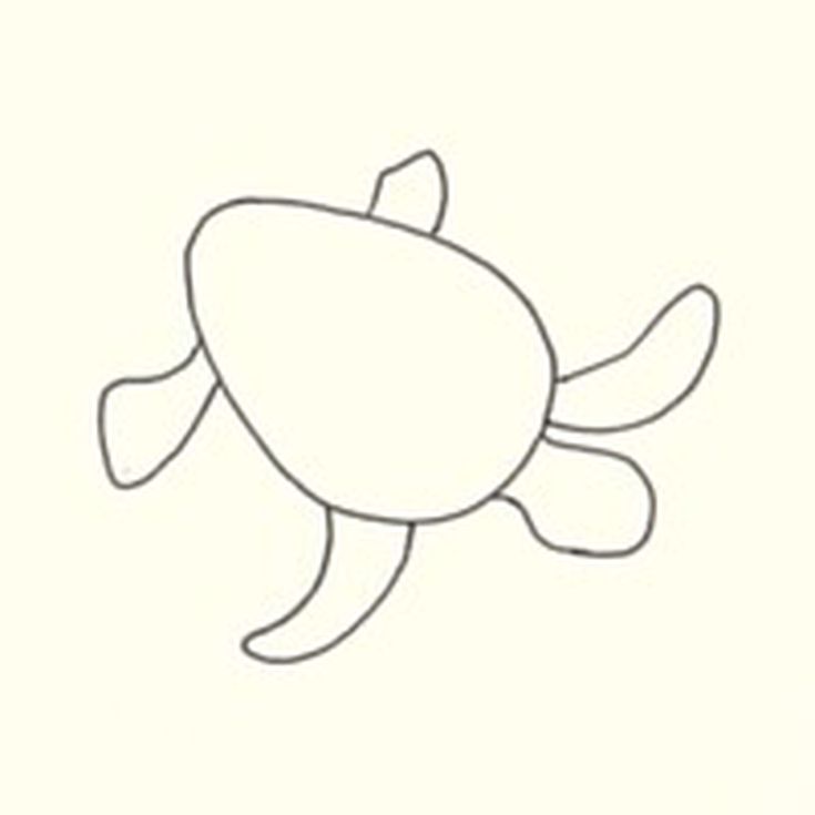 735x735 Drawn Turtle Face