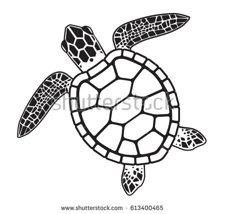 450x429 Drawn Turtle Sketch