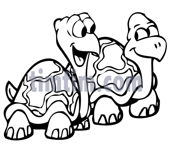 546x516 Free Drawing Of Turtles Bw2 From The Category Reptiles Dinosaurs
