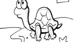 266x150 How To Draw A Turtle Easy Step By Step Tutorial Video By Elearnin