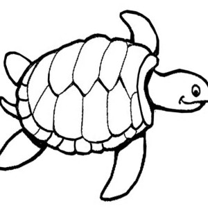 300x300 Sea Turtle Drawing Free Coloring Page Sea Turtle Drawing Free