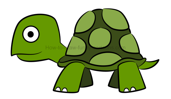 600x349 To Draw An Illustration Of A Turtle