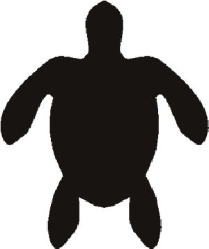 300x357 Best Turtle Outline Ideas Turtle Pattern