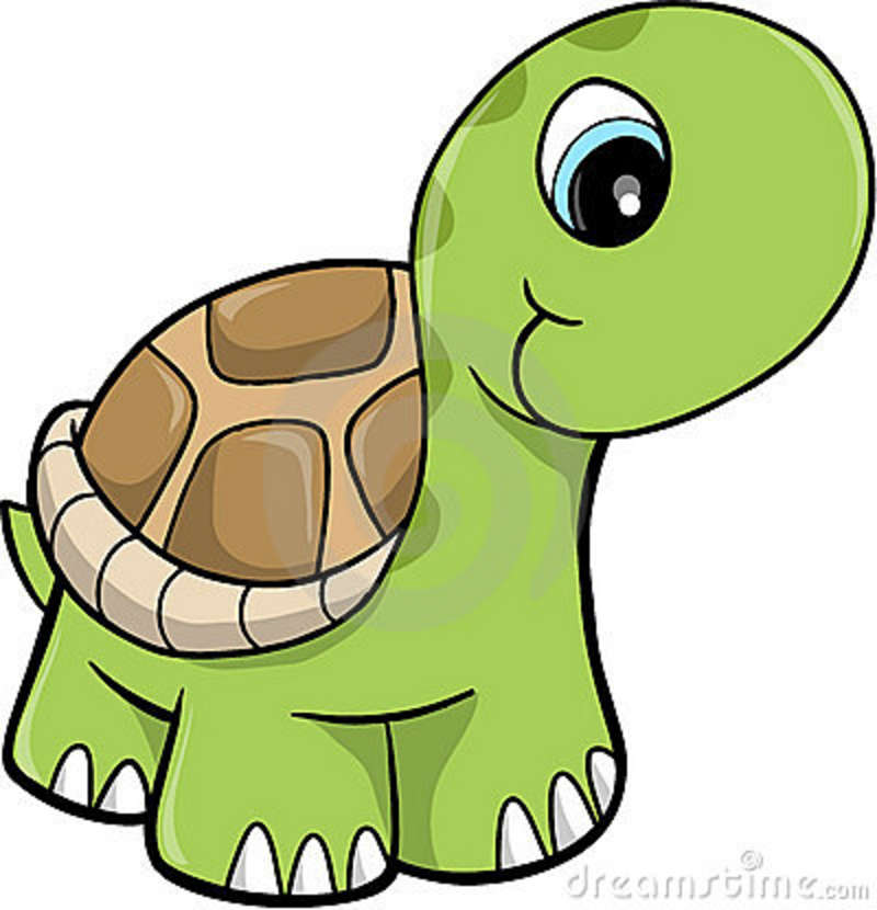 800x830 Free Cute Clip Art Cute Safari Turtle Vector Illustration