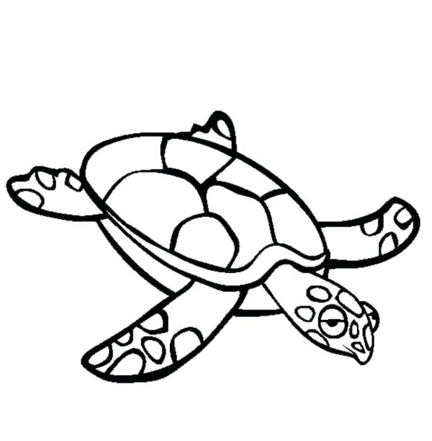 618x630 Pin Drawn Turtle Outline 8 Sea Vector Image Pictures Sea Turtle