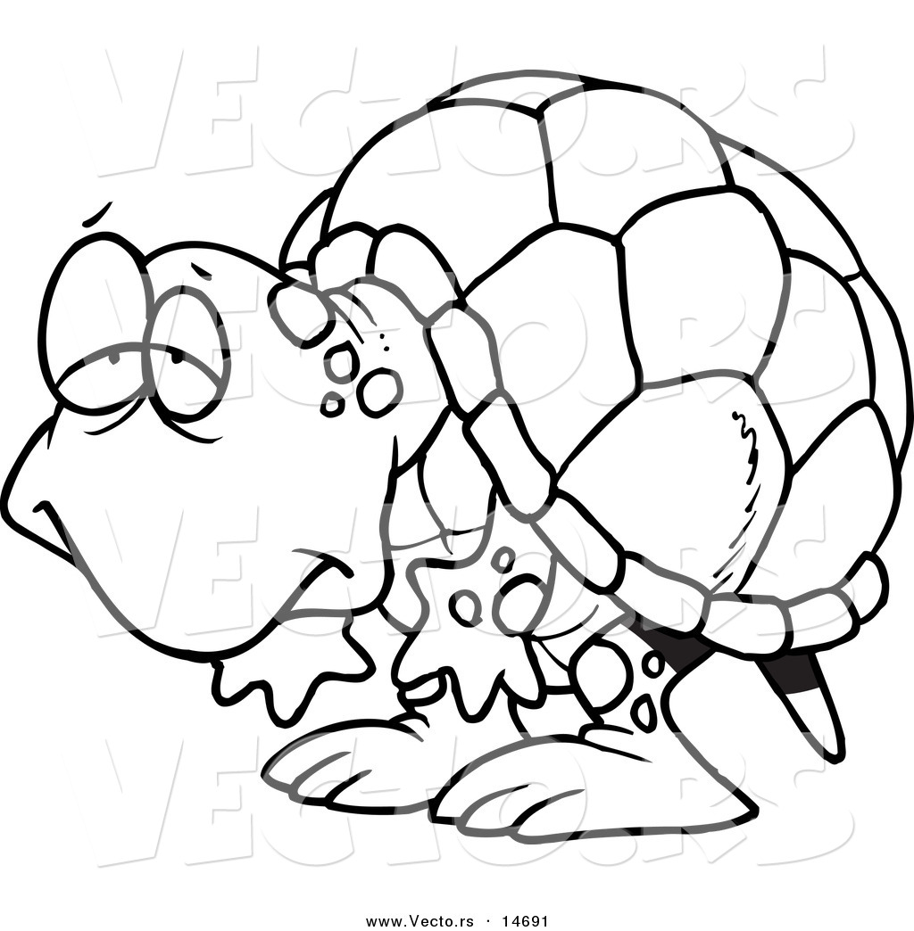 1024x1044 Tortoise Clipart Clipart Panda