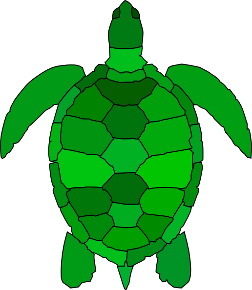 516x594 Turtle Clip Art