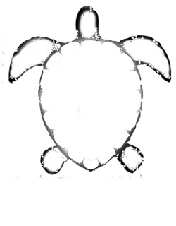 Turtle Outlines