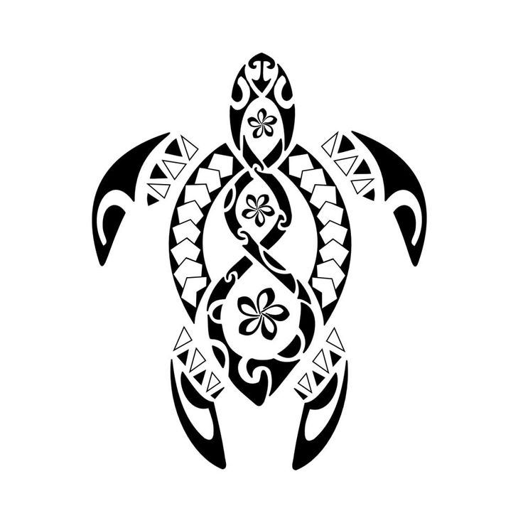 736x736 The Best Turtle Tattoo Designs Ideas Turtle