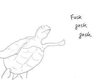 340x270 Turtle Clipart Png Digital Sea Turtles Clip Art Scrapbook