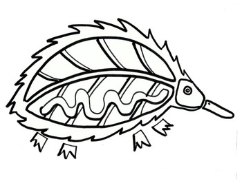 350x263 Australian Animal Outlines By Bee Busy Teachers Pay Teachers