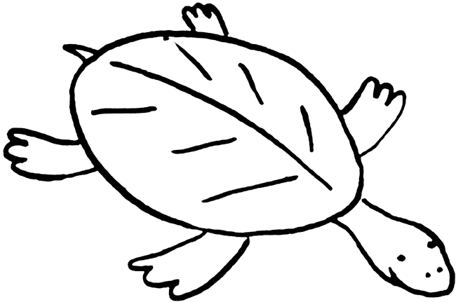 650x431 Turtle Images Clipart