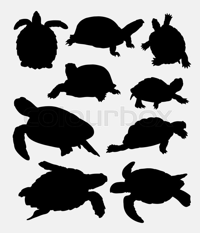 688x800 Turtle And Tortoise Amphibian Animal Silhouette. Good Use