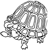 176x176 Turtles Coloring Pages Free Coloring Pages