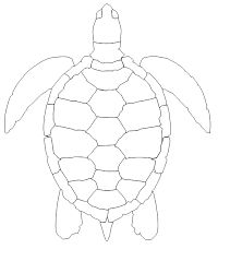 211x239 Best Turtle Outline Ideas Turtle Pattern