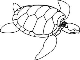 259x195 Sea Turtle Outline