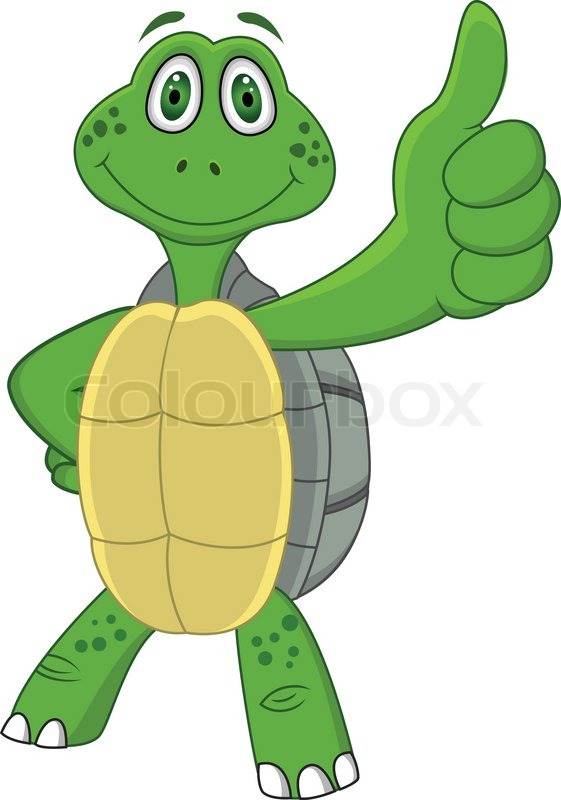 561x800 Turtle Cartoon Stock Vector Colourbox