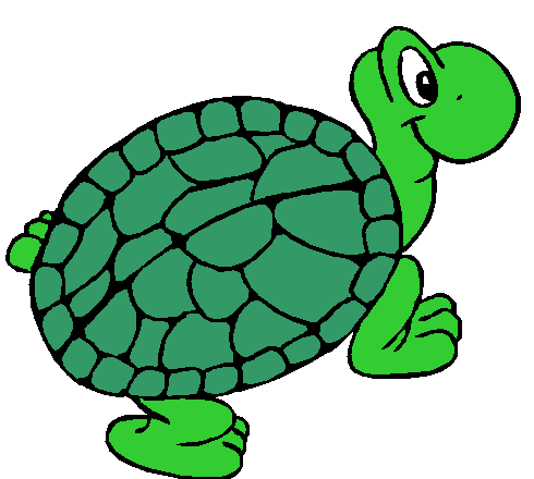490x440 Turtle Clipart Cartoon