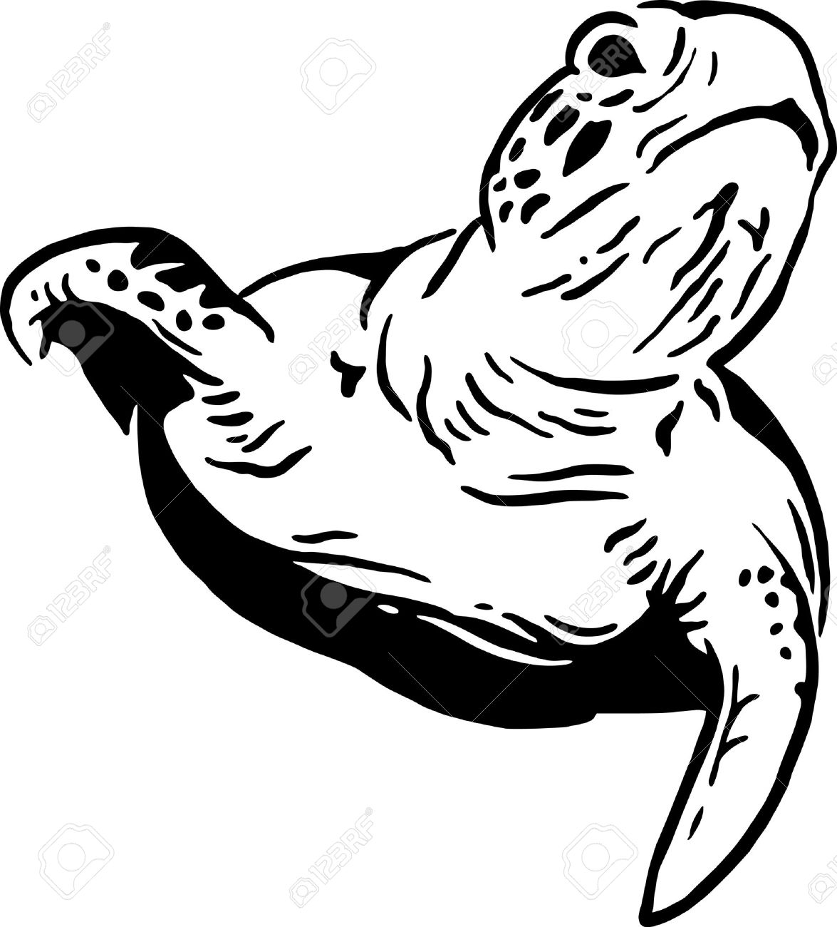 1175x1300 Best Turtle Silhouette