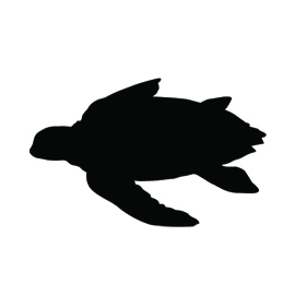 270x270 Sea Turtle Silhouette Stencil Free Stencil Gallery