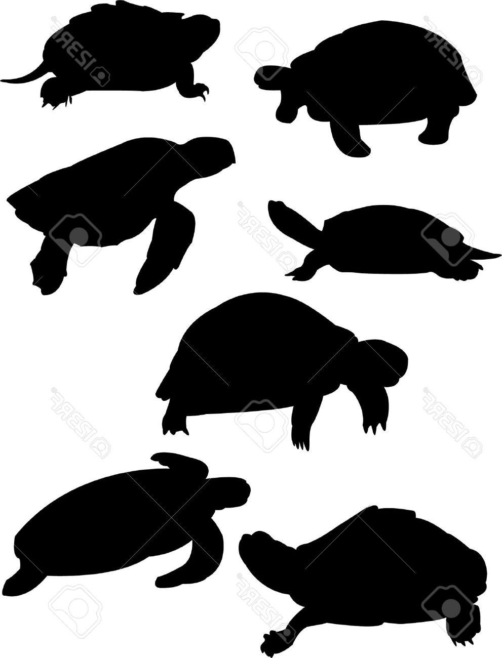 991x1300 Top Illustration Of Turtles Silhouette Stock Vector Turtle Sea Images