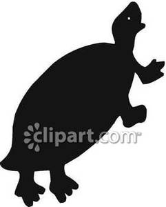 241x300 Turtle Silhouette