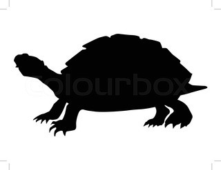 320x247 Turtle Silhouette On White Background Stock Vector Colourbox