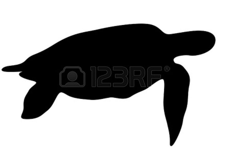 736x490 Tropical Fish Silhouette 18343511 Turtle Silhouette On A White